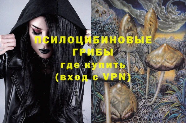 гидропоника Армянск